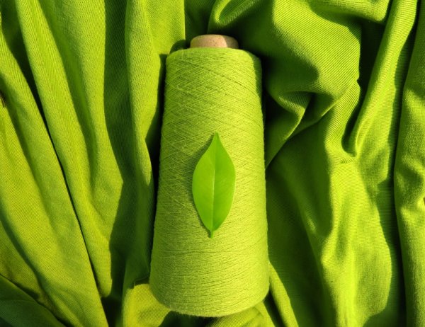 Menemukan Keindahan dalam Warna Greentea: 15 Rekomendasi Baju yang Menawan untuk Gaya yang Segar! (2023)
