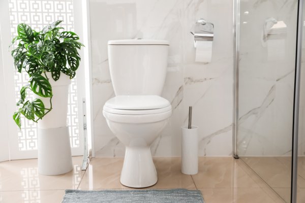 10 Rekomendasi Shower Toilet Terbaik dan Cara Memilihnya yang Sesuai dengan Kebutuhan (2023)