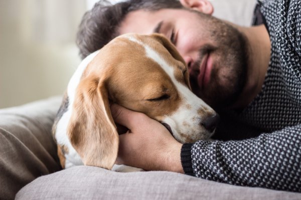 Know Someone Who Can't Live Without Their Beloved Pet Pooch? Here are 10 Amazing Personalized Gifts for Dog Lovers in Your Life (2019)