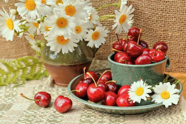 母の日に人気のさくらんぼギフト特集 お母さんへのプレゼントにはお花付きがおすすめ ベストプレゼントガイド