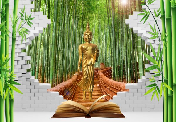 If You're Seeking to Explore Buddhism More Deeply, Here are the 8 Best Books to Enlighten Your Life(2021).