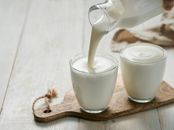 10 Rekomendasi Greek Yoghurt Minuman Kaya Manfaat untuk Kesehatan Tubuh! (2023)