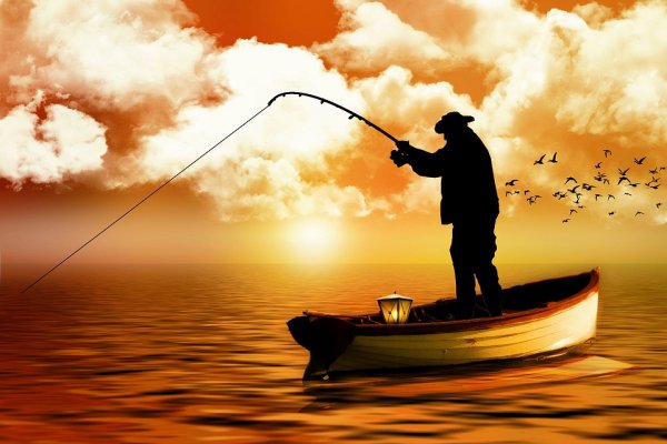 Punya Hobi Memancing? Segera Miliki 7 Rekomendasi Alat Pancing Terbaik dan Tips Agar Hasil Mendapatkan Ikan Melimpah (2018)