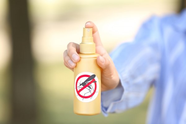Risih Dengan Nyamuk? Yuk, Gunakan 10 Produk Pengusir Nyamuk yang Aman Ini! (2022)