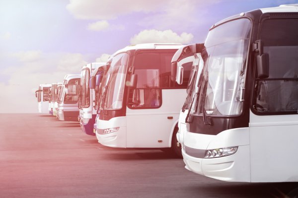 Agen Wisata CumaWisata.com – Memperkenalkan Travel Agen Jakarta dengan Sewa Bus dan Mobil serta Paket Wisata Terbaik