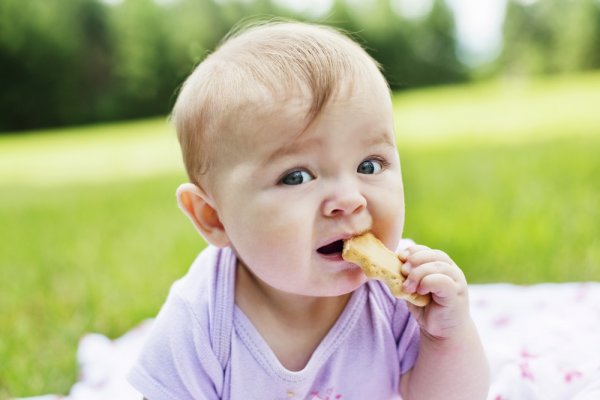10 Rekomendasi Biskuit Bayi Terbaik untuk Tumbuh Kembang Si Kecil