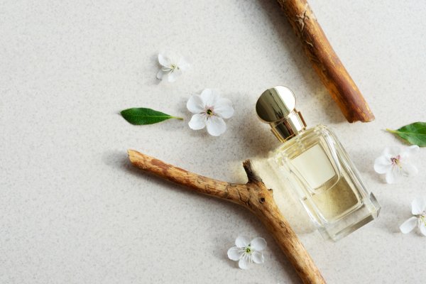 10 Rekomendasi Parfum Aroma Kayu yang Berkesan Hangat dan Berkelas (2022)