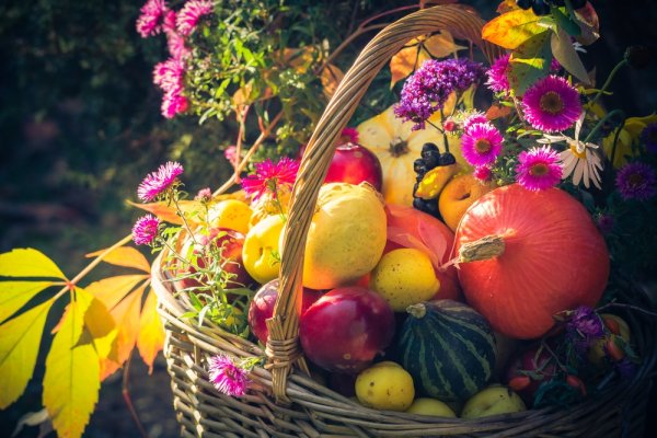 Gợi ý 10 giỏ quà Tết hoa quả độc đáo cho dịp Tết đến xuân về (năm 2022)