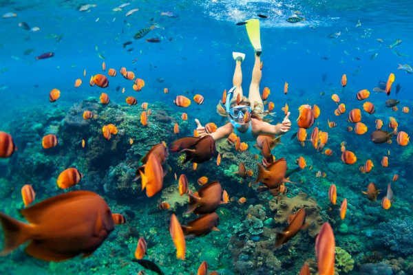 Mau Healing? Ini Dia 15 Lokasi Pantai untuk Snorkeling Terbaik di Indonesia (2023)