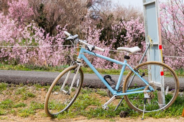 Punya Hobi Sepeda? Cek 30 Sepeda Jepang Populer Berkualitas Pilihan para Pakar (2023)