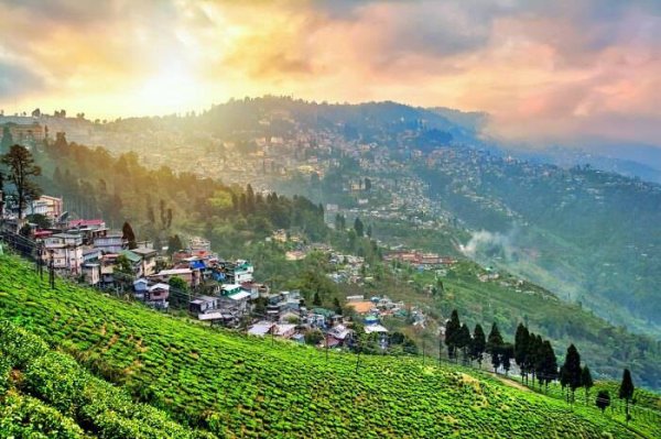 Plan a Trip to the North of Bengal: The 10 Best Places to Visit in Darjeeling (2019)!