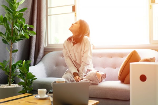 Here is a Much Better Alternative to Those Expensive Air Purifiers: Best Natural Air Purifiers You Can Install in Your Home (2020)