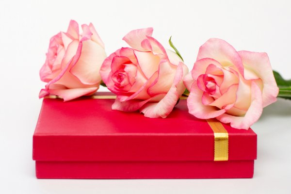 10 món quà sinh nhật đẹp nhất cho người thân yêu (năm 2020)