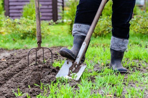 15 Rekomendasi Sekop Terbaik untuk Kebun dan Pekerjaan Luar Ruangan Anda (2023)