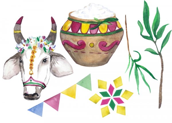 Discover Pongal Traditions and Celebrations and 14 Stunning Traditional Pongal Gifts to Charm Your Relatives and Friends With
