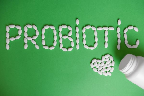 10 Rekomendasi Suplemen Probiotik Terbaik Untuk Kesehatan Pencernaan (2023)
