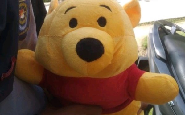 10+ Boneka Winnie The Pooh Menggemaskan Plus Fakta Unik di Balik Ceritanya!