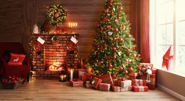Sambut Natal dengan Sukacita dengan Dekorasi dari 9 Tipe Pohon Natal Terbaik (2023)