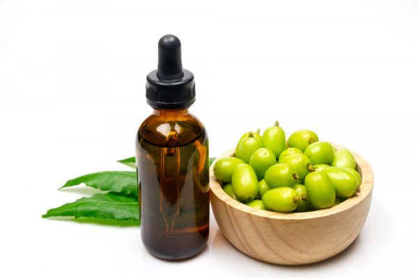 Using Neem Oil as Pesticide: Benefits of Using it As a Pesticide with DIY ways You Can Prepare Yours at Home + Suitable Options Available Online (2020)