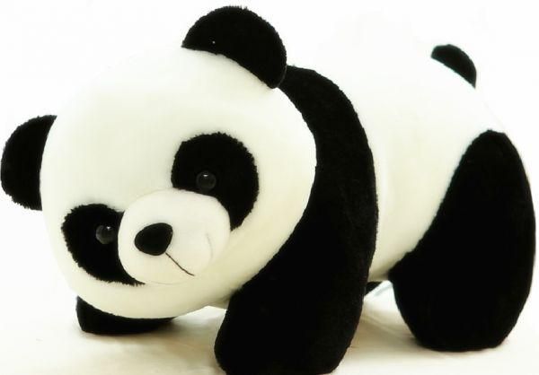Suka Panda? Jangan Lewatkan 10+ Aksesori Panda yang Lucu ...