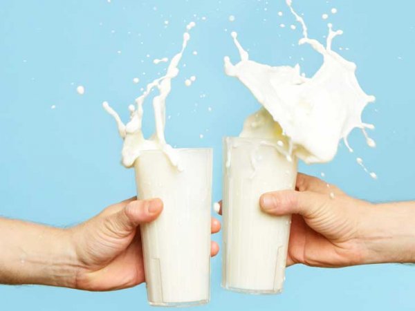 भारत में वनस्पतिक दूध का रुझान काफी बढ़ गया है: 15 ओर्गानिक दूध के ब्रांड जो बाजार में सबसे भरोसेमंद उत्पादों में से एक है (2020)