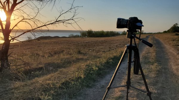 15 Rekomendasi Tripod Terbaik untuk Hasil Foto Maksimal! (2023)