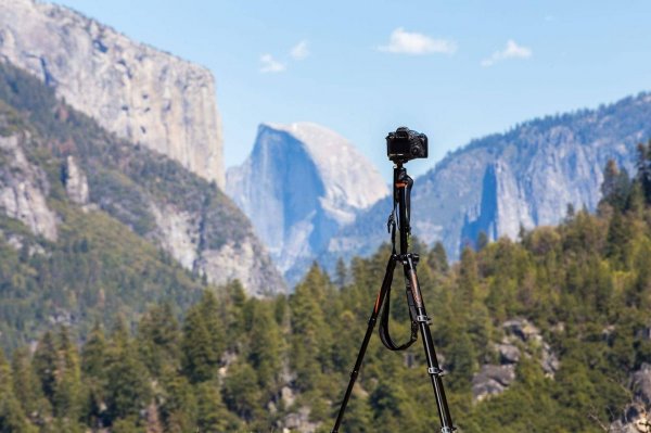 Take Your Photography to the Next Level with a High-Quality DSLR Tripod: Check out the Best Tripod Stands for DSLRs and Why You Need One to Capture That Perfect Shot! (2021)