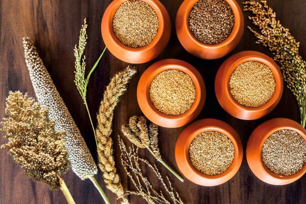 Looking for a Healthy Diet? Checkout these Indian Millet Recipes for 2021