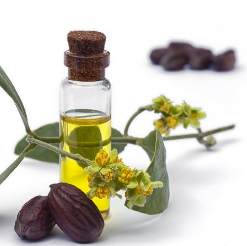 Benefits of Jojoba Oil on the Hair, Things to Consider When Using it and the Best DIY Methods of Using Jojoba Oil at Home.(2020)