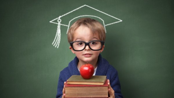 Can't Wait for the Next Einstein in the Making? Here are the Tips to Raise a Smarter Child by Kindergarten (2020)