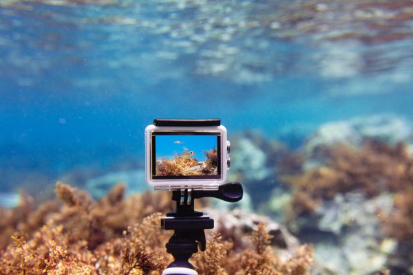 Abadikan Petualangan Bawah Laut dengan 15 Rekomendasi Kamera Bawah Air Terbaik dari Content Creator (2023)