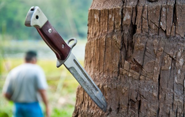 A Camping Knife Can Be Your Best Friend On Outdoor Adventures Choose From The 10 Best