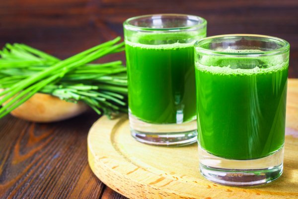 Fight Infections and Upgrade Your Skincare Regimen Using Wheatgrass. Here are Some Astounding Health Benefits of Wheatgrass and Helpful Pointers on How to Take Advantage this Amazing Plant