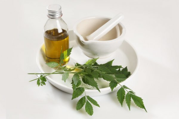  5 Best Neem Oil That Will Improve Your Skin with Regular Use Plus What Neem Oil Has to Offer for Our Healthy Skin in 2020