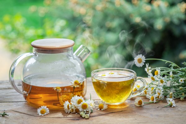 Bật mí 10 loại trà hoa cúc La Mã thơm ngát giúp bạn thư giãn tinh thần và thanh lọc cơ thể (năm 2022)