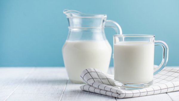 10 Susu Diet Terbaik yang Bikin Diet Terasa Lebih Menyenangkan (2021)