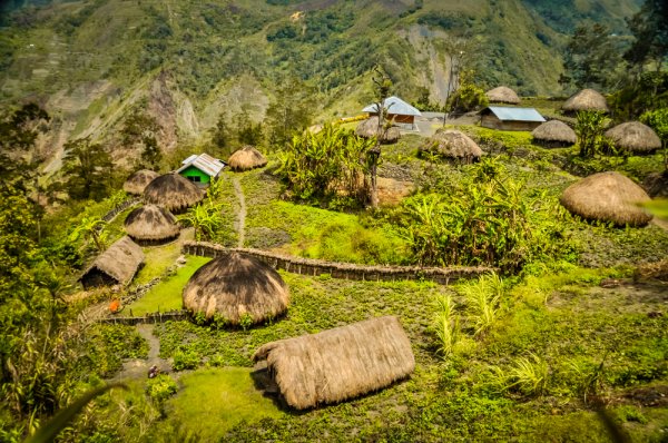 10 Rekomendasi Oleh-Oleh yang Mesti Dibawa Pulang dari Tanah Papua (2023)