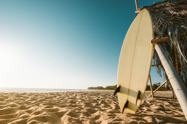 14 Rekomendasi Surfboard Berikan Pengalaman Berselancar tak Terlupakan untuk Anak dan Orang Dewasa (2023)