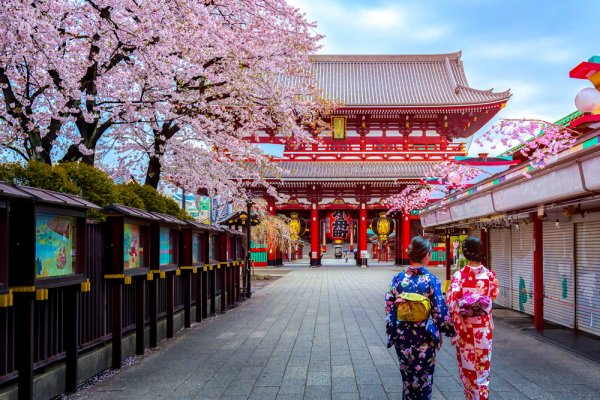 A Guide to What to Buy in the Capital of Japan: a List of 12 Things You Must Buy when You're in Tokyo (2019)