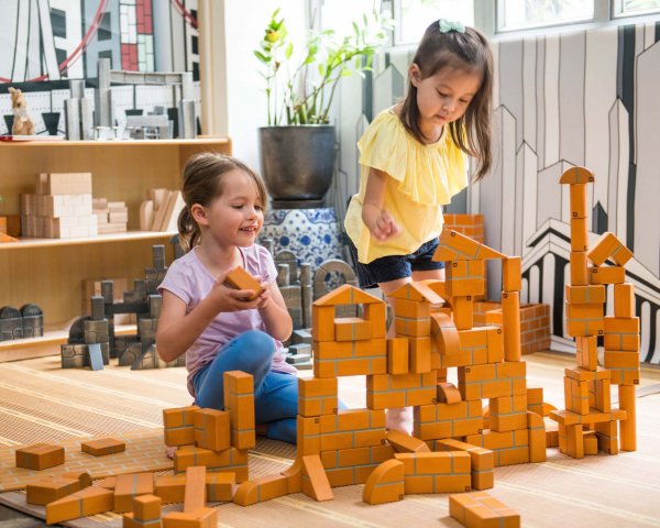 लकड़ी के खिलौने बच्चो के लिए हानिकारक नहीं होतें(2020) : हमारी सूचि में सभी उम्र के बच्चों के लिए अलग-अलग प्रकार के लकड़ी से बने खिलौने उपलब्ध हैं। 
