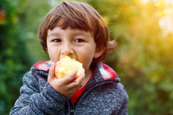 Solve Hunger Pangs Without Fast Food: Easy Healthy Snacks to Make for Kids That Won't Bore Them(2020)