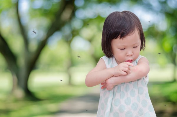 15 Rekomendasi Anti Nyamuk untuk Bayi (2023)