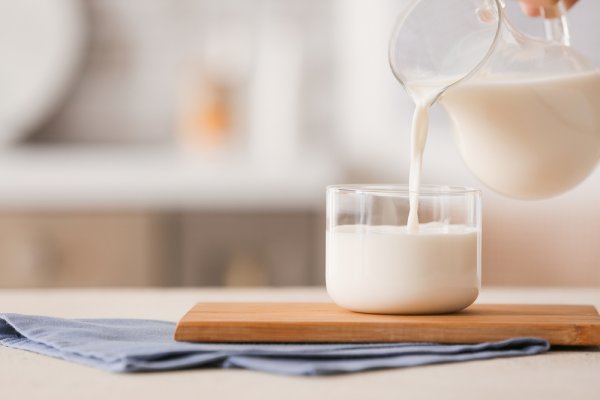 15 Rekomendasi Susu Full Cream untuk Meningkatkan Fungsi Otak (2023)