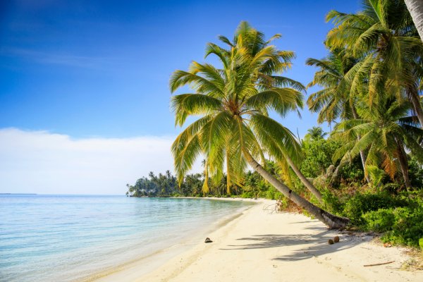 10 Rekomendasi Pantai Terindah di Papua, Cocok untuk Menikmati Waktu Santai (2023)