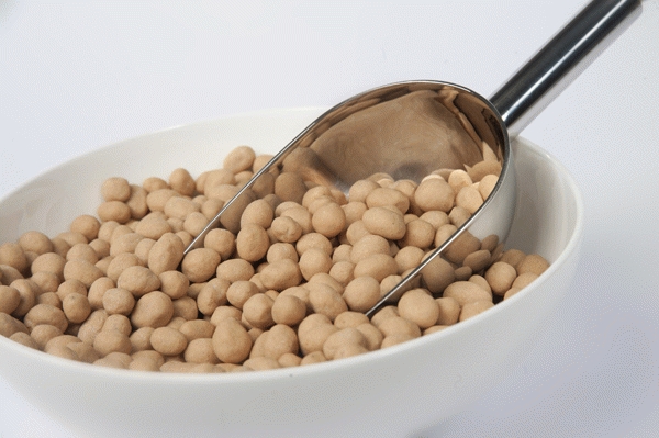 10 Rekomendasi Kacang Atom yang Cocok untuk Camilan Sore Hari (2020)