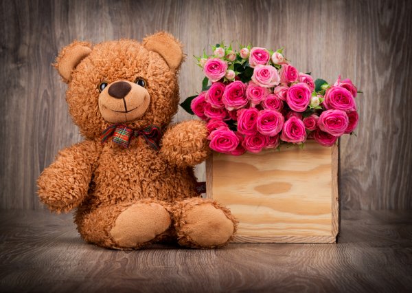 Looking for The Most Affordable Yet Exquisite Gifts for Your Loved One? 30 Best Flowers and Teddy Bear Combos That Can Bring a Smile to Anyone's Face (2022)