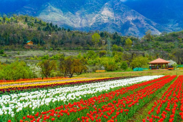 कश्मीर सचमुच पृथ्वी पर स्वर्ग है: 2019 में कश्मीर में घूमने के लिए सबसे अच्छी 10 जगहें जो प्रकृति की सुंदरता को अच्छी तरह से दर्शाता है