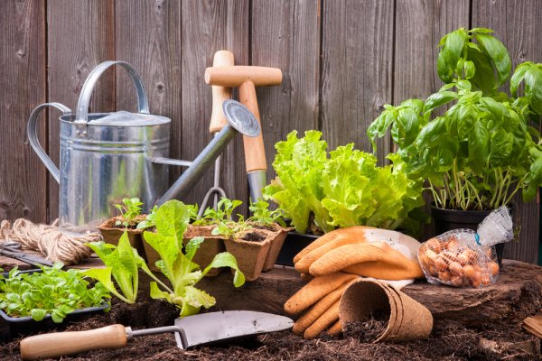 Ingin Mulai Berkebun? Ini 10 Rekomendasi Alat Berkebun Terbaik Untuk Pemula (2022)