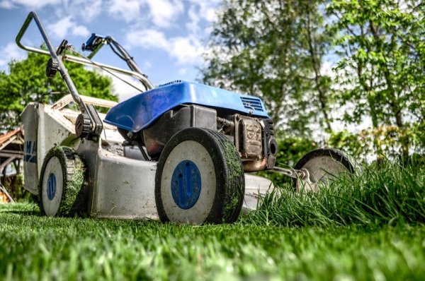Rapikan Taman Berumput Anda dengan 10 Mesin Potong Rumput Rekomendasi BP-Guide! (2023)