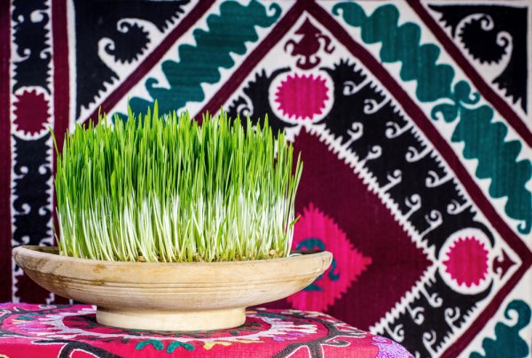 Celebrate Navroz with Great Zeal! These 10 Parsi New Year Gifts are Sure to Make Your Loved One's Day (2019)